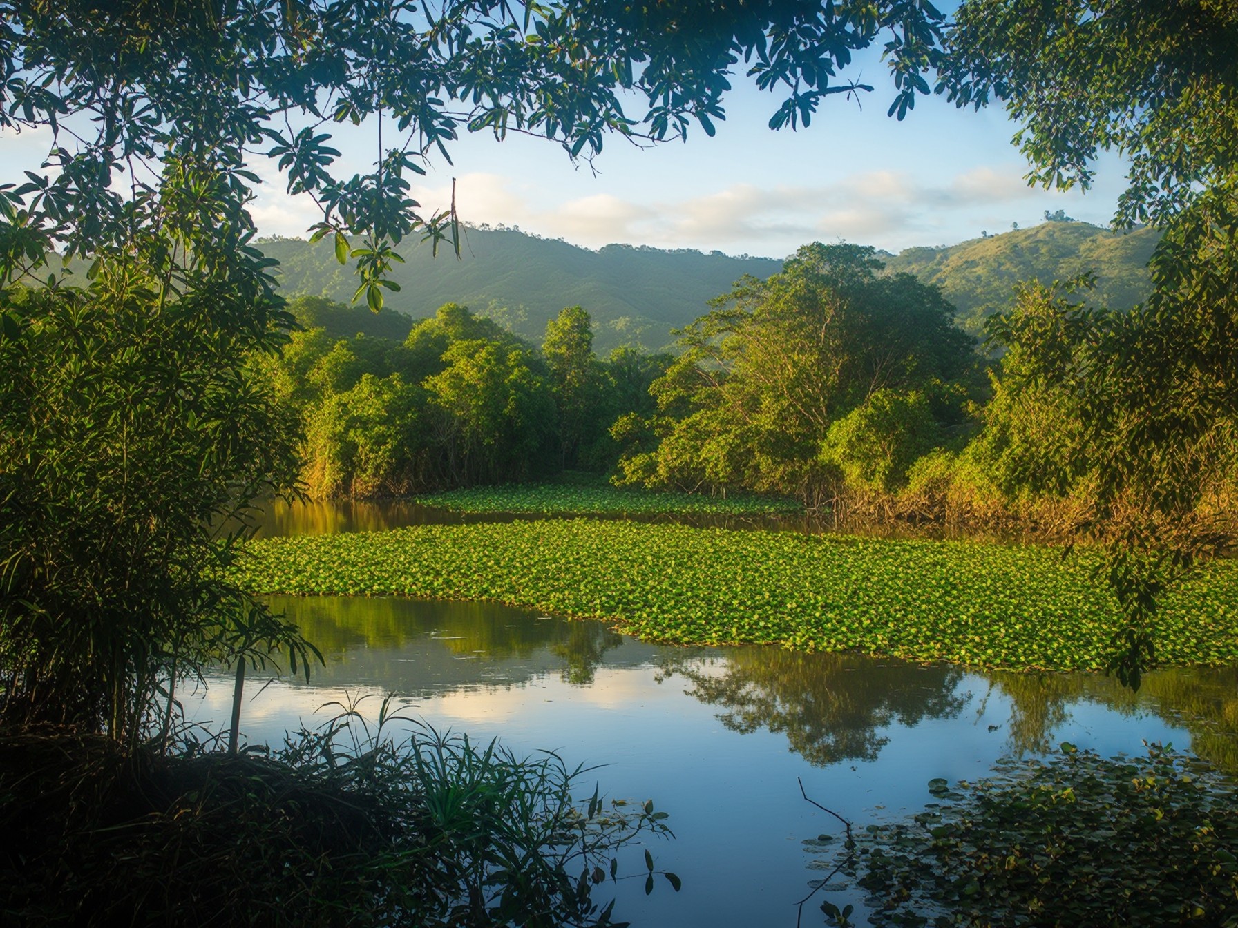 Lush green tropical landscape with a serene lake, surrounded by dense forest and hills under a blue sky.