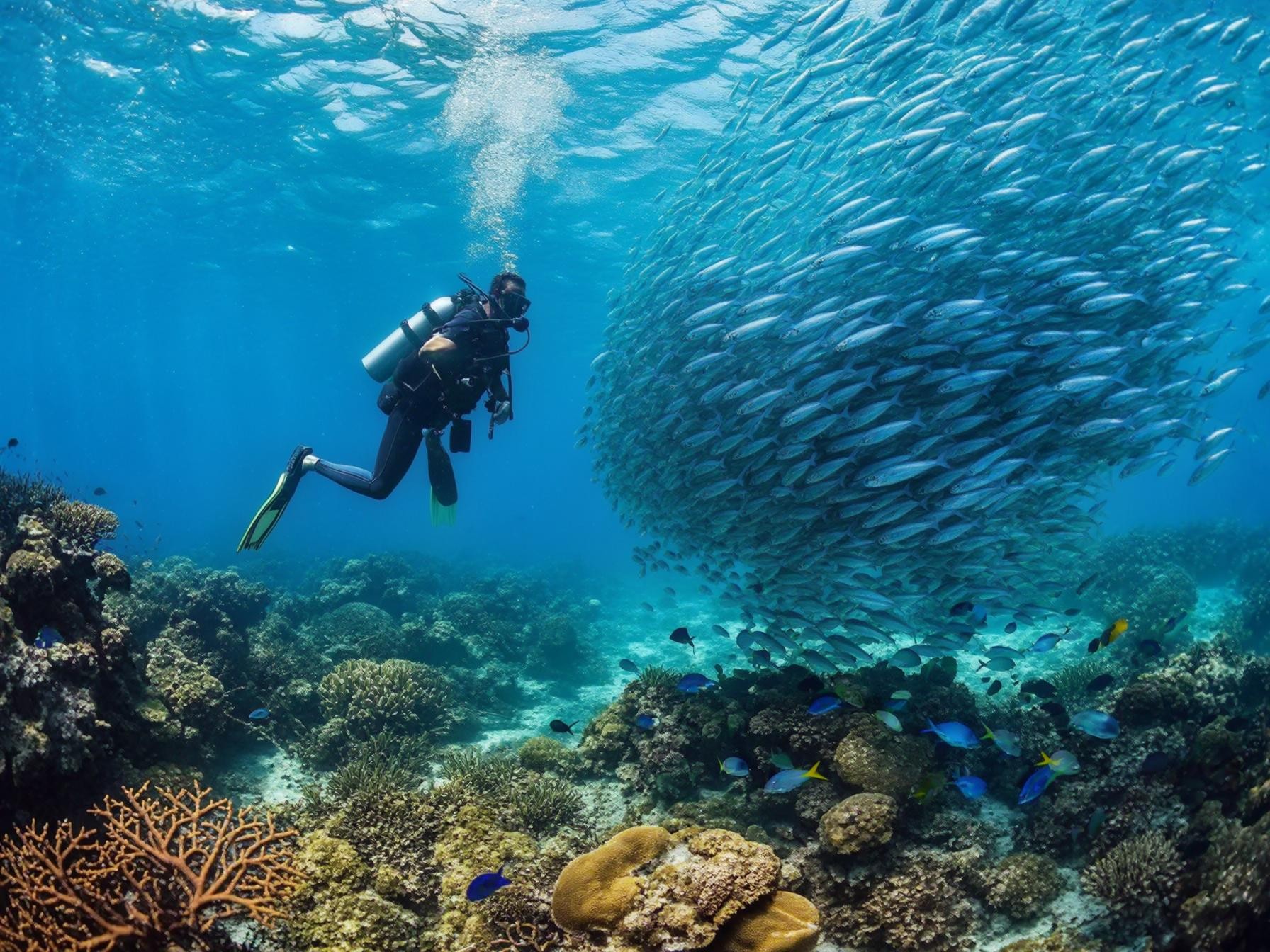 Scuba diver exploring vibrant coral reef with a large school of fish in crystal clear ocean waters.