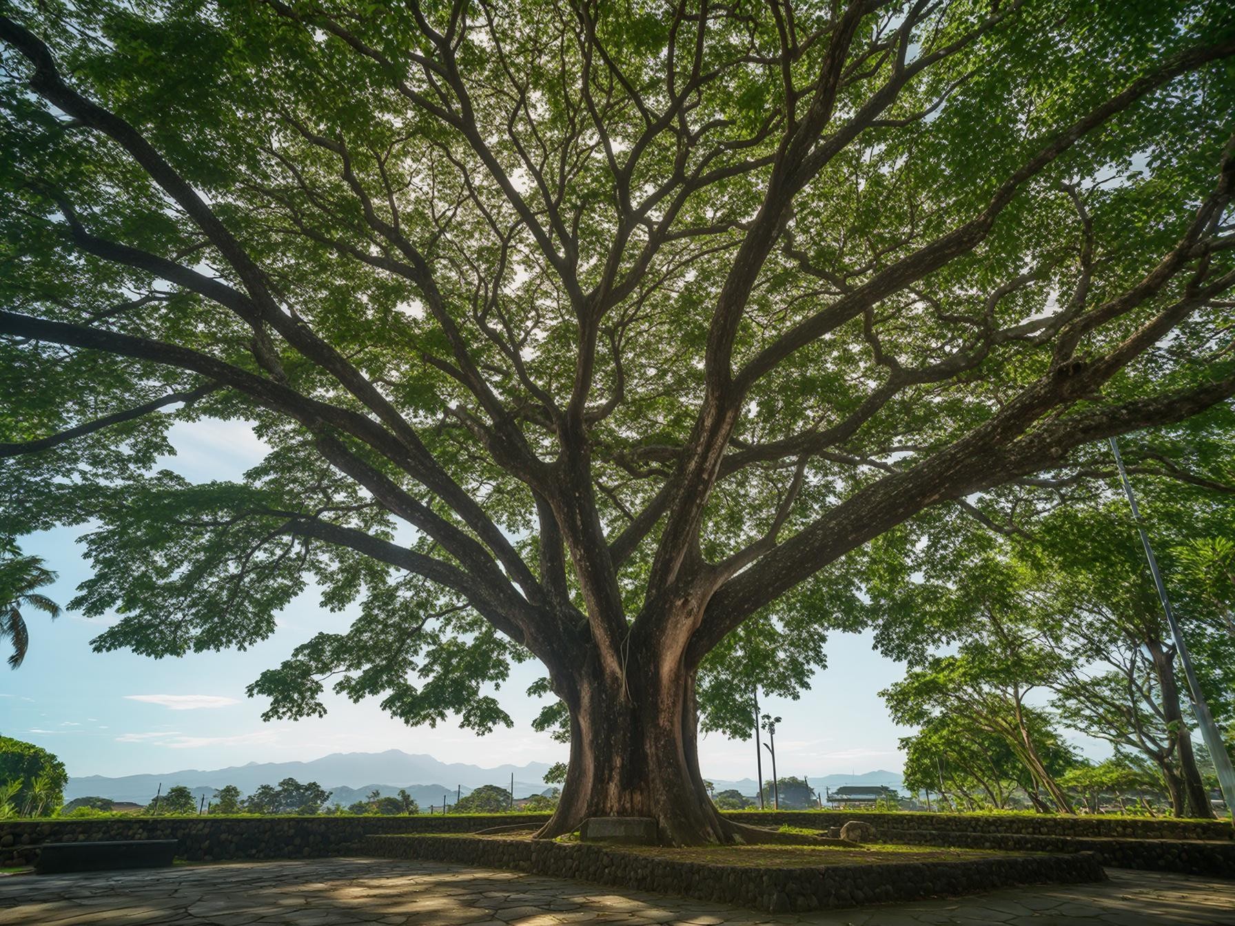 Large tree with sprawling branches creating shade, set against a scenic backdrop of mountains and a bright blue sky.